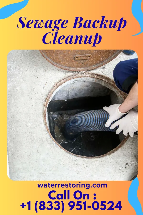 Sewage Backup Cleanup in Ai, OH