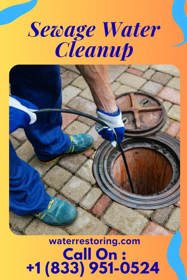 Sewage Water Cleanup in Ai, OH