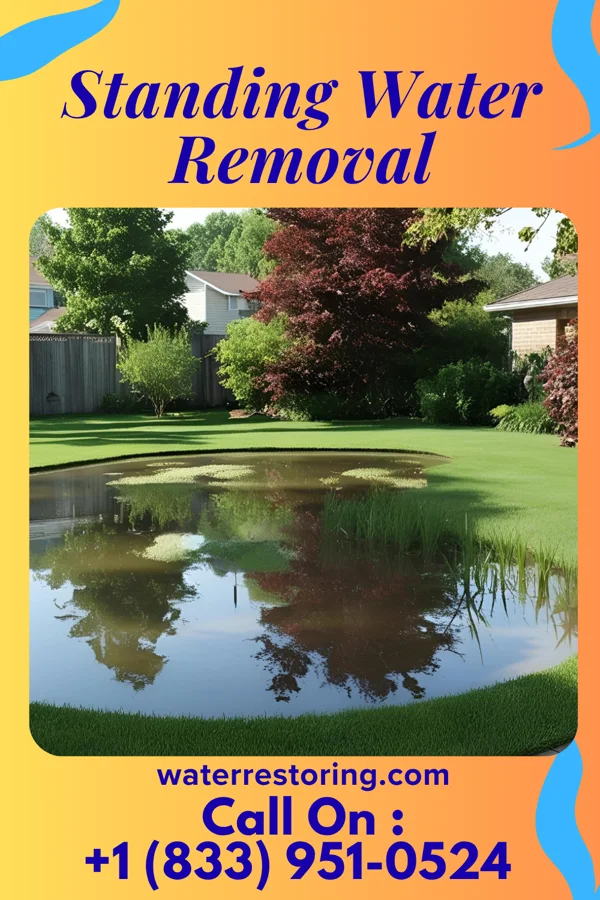 Standing Water Removal in Ai, OH